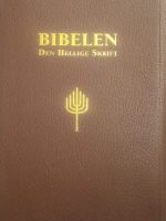 Bibelen - skinn